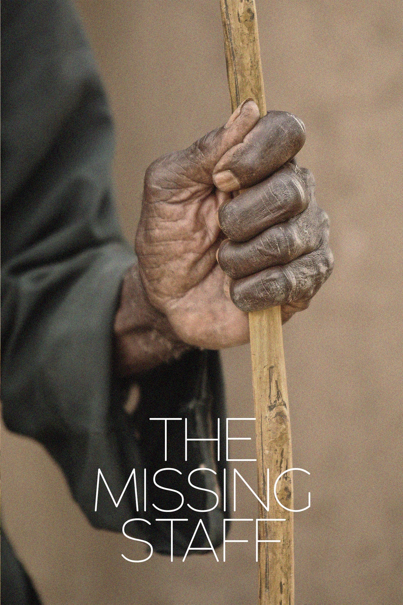 Missing Staff cover art