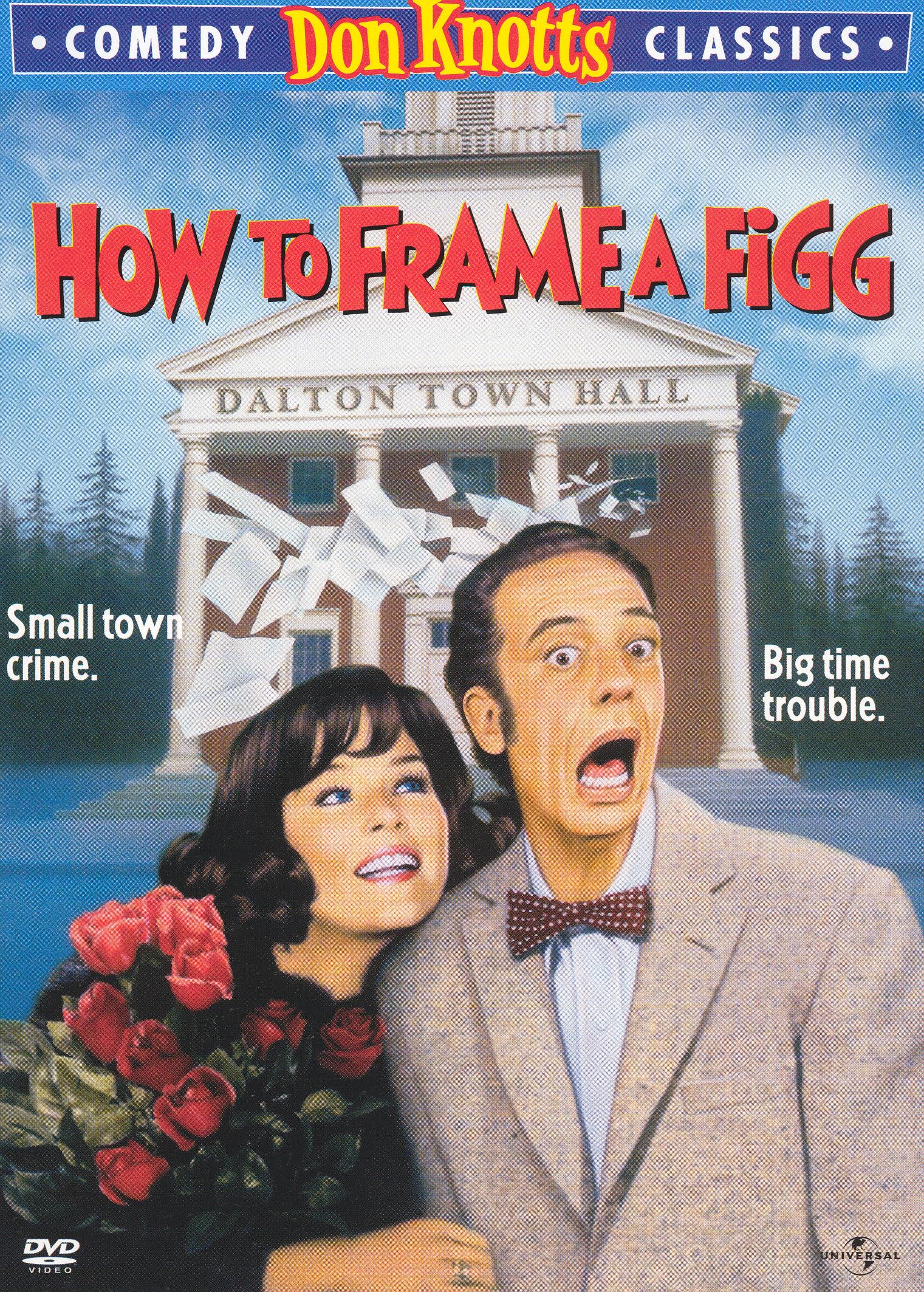 How to Frame a Figg cover art