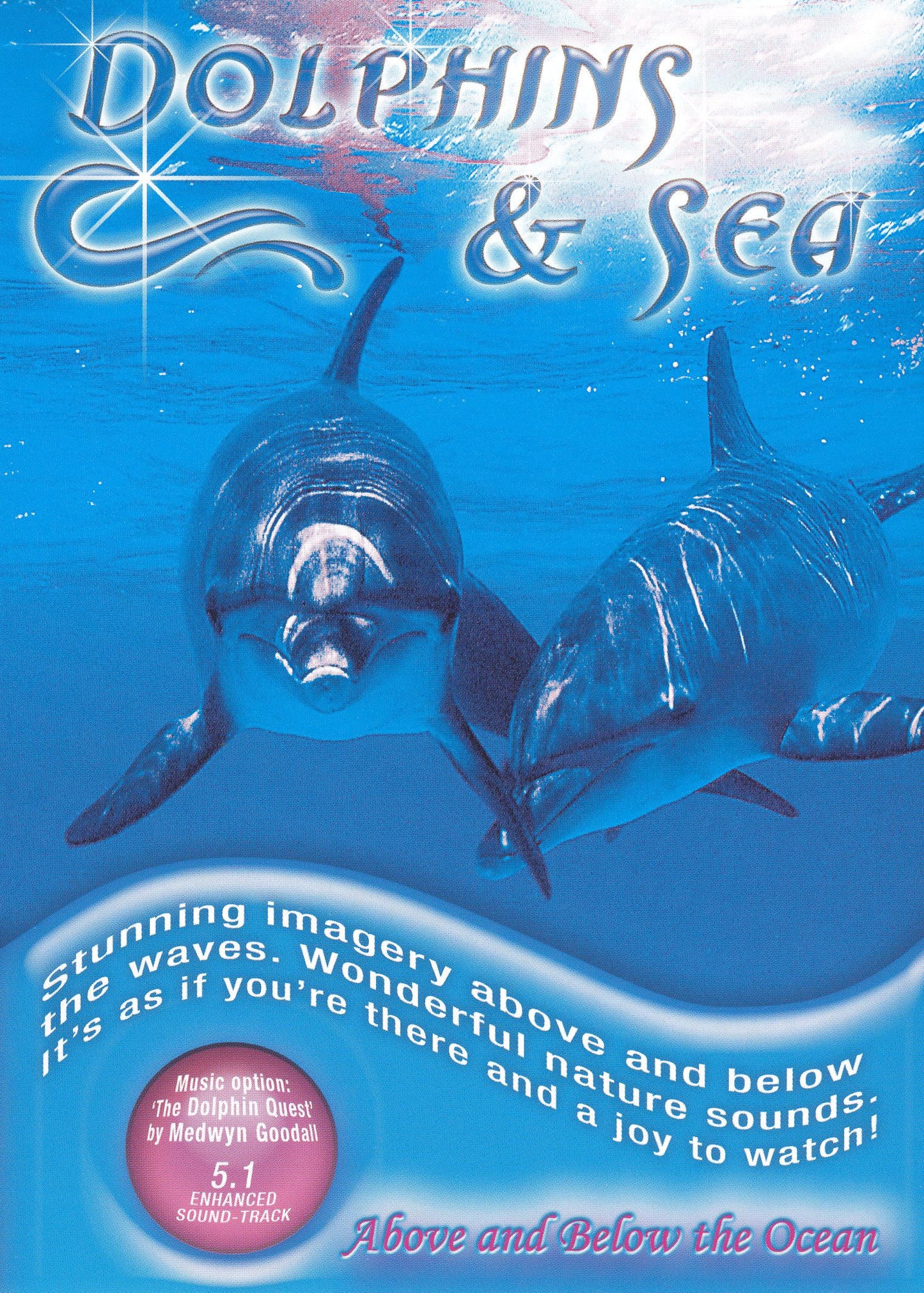 Dolphins and Sea cover art