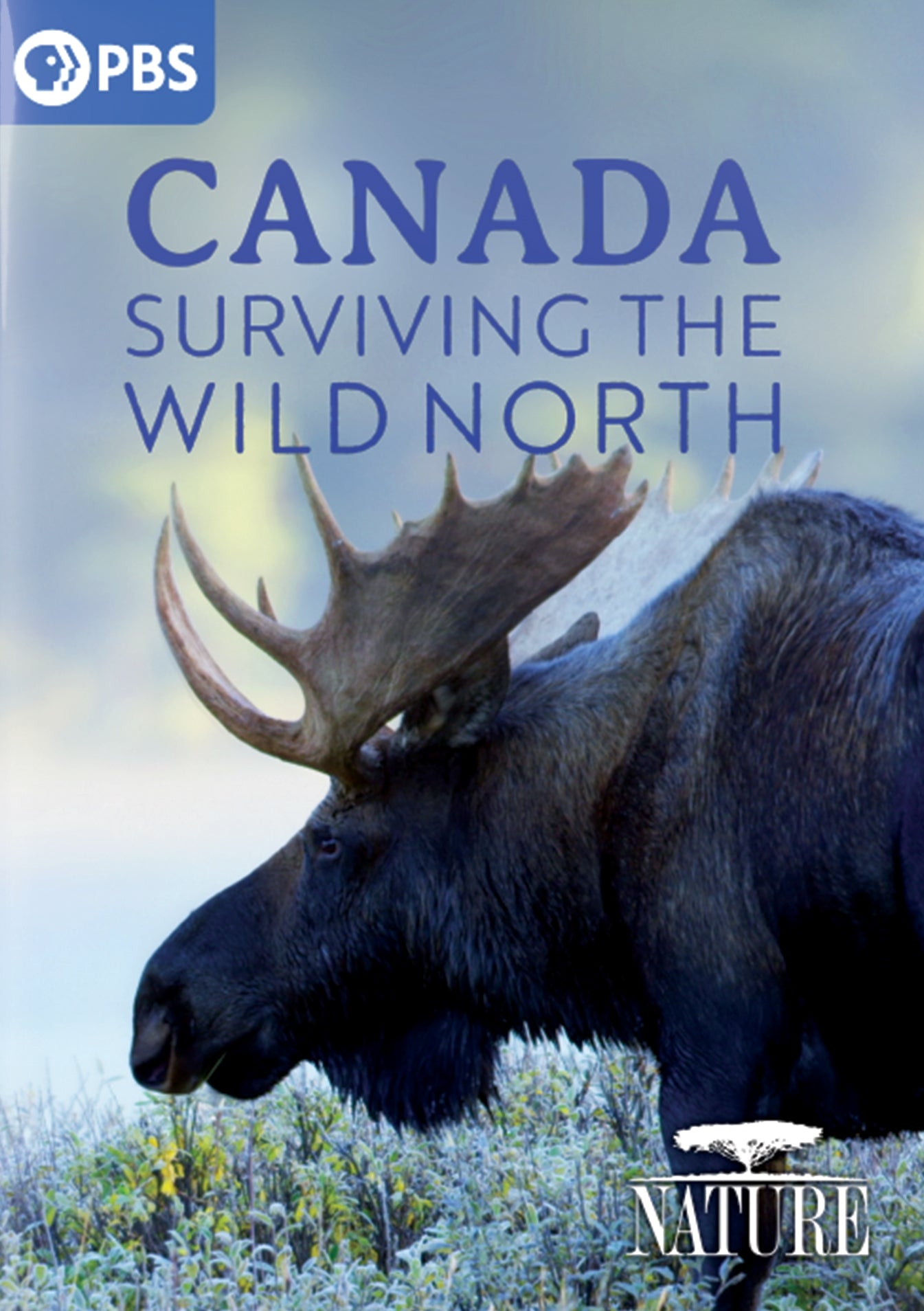 Nature: Canada - Surviving the Wild North cover art