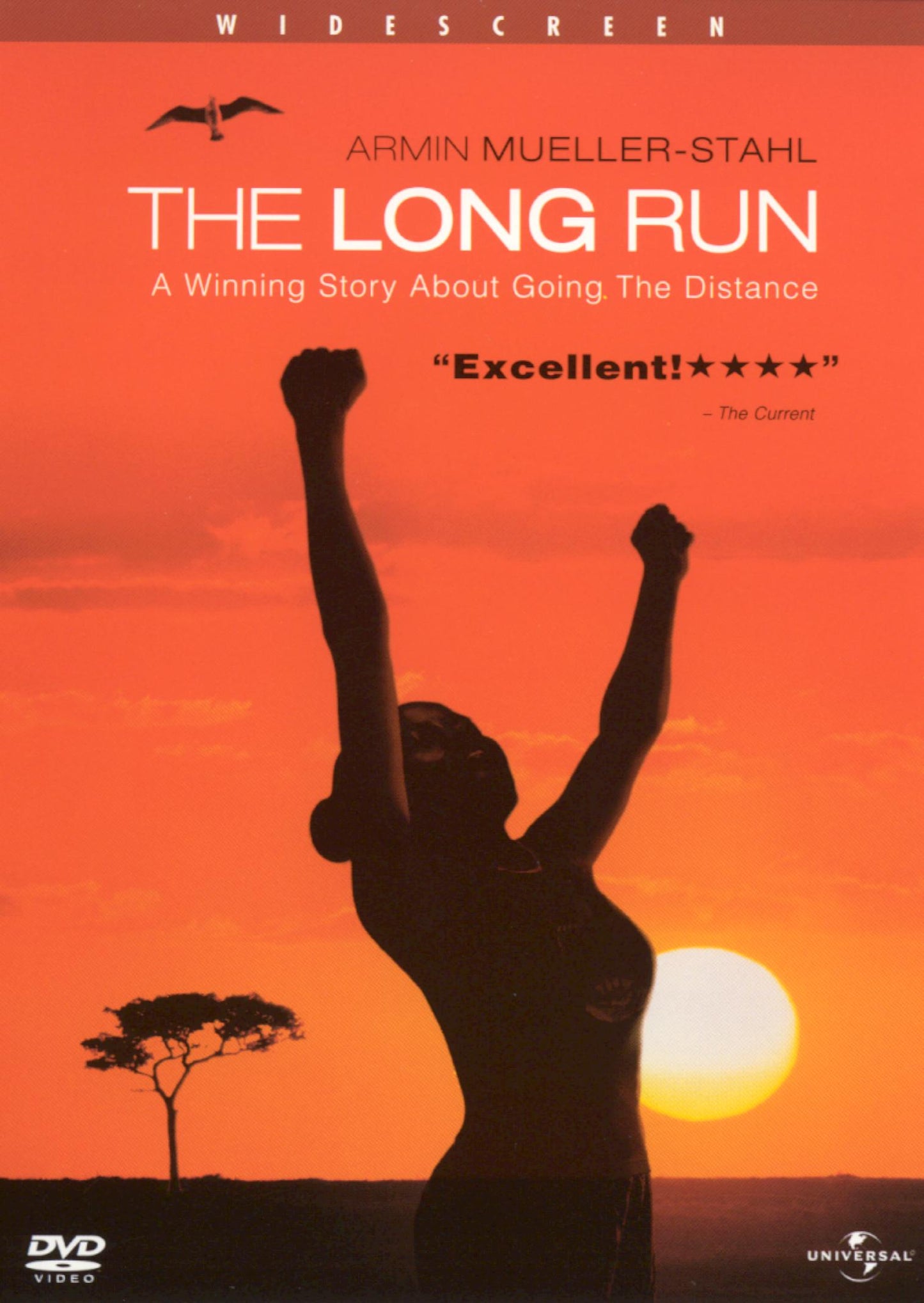 Long Run cover art
