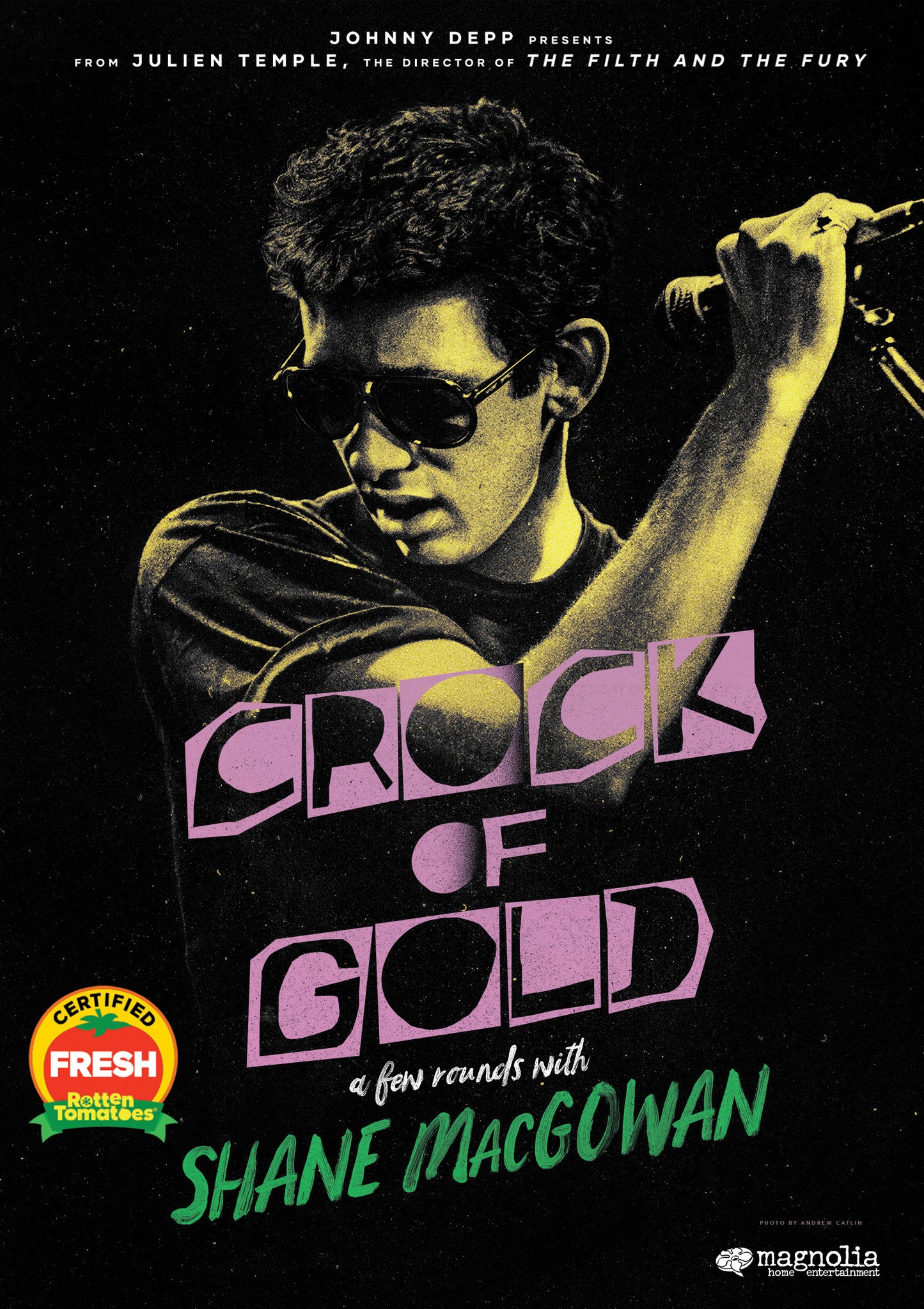 Crock of Gold: A Few Rounds with Shane MacGowan cover art