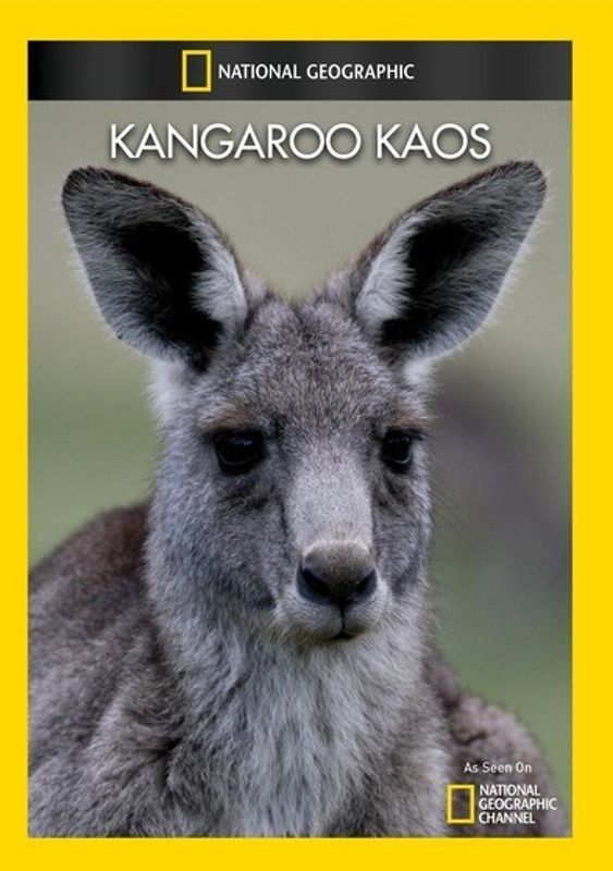Kangaroo Kaos cover art