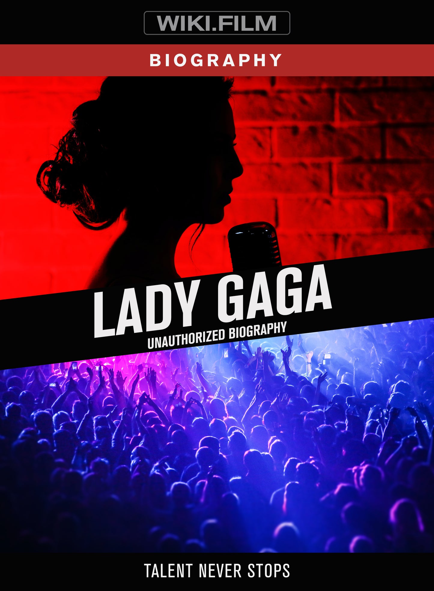 Lady Gaga: Unauthorized Biography cover art