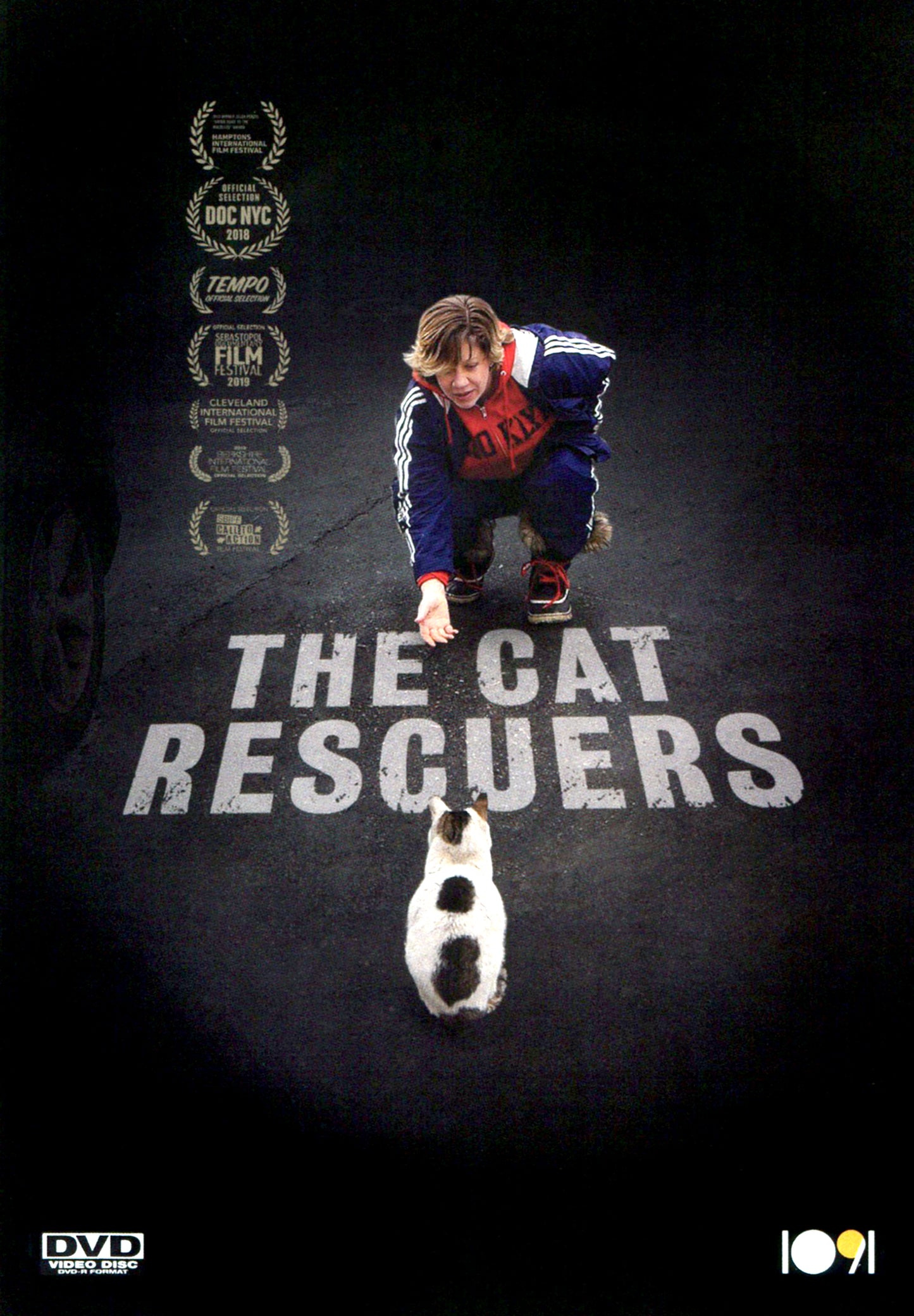 Cat Rescuers cover art