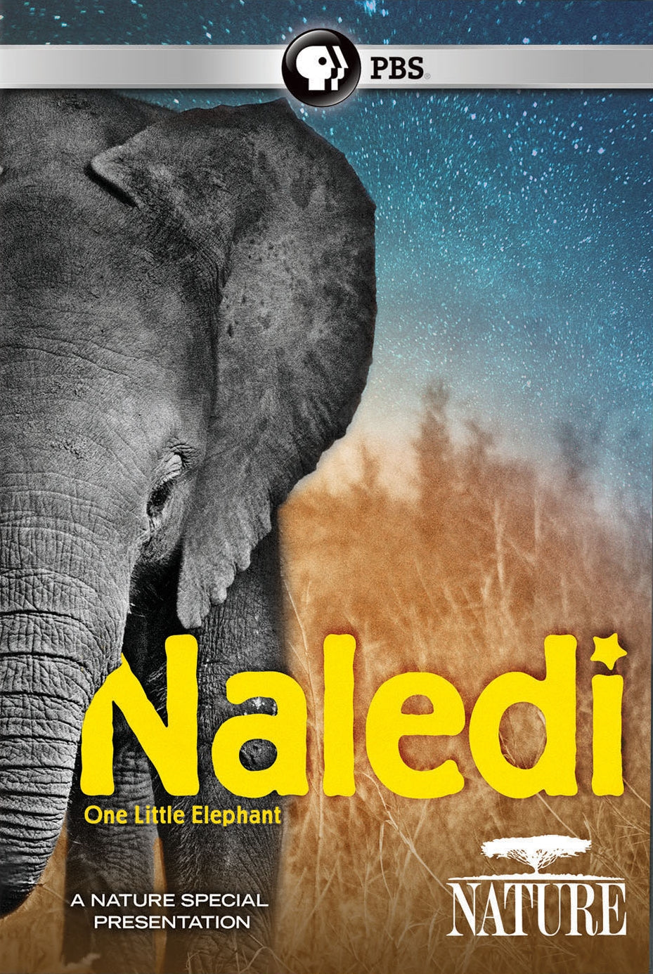 Nature: Naledi - One Little Elephant cover art
