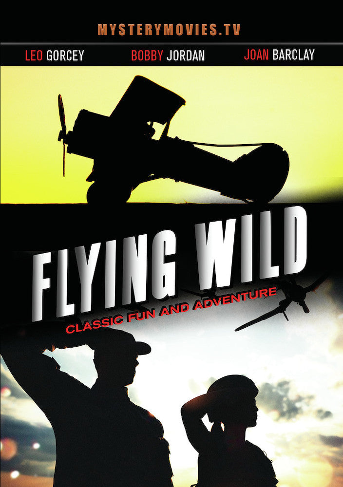 Flying Wild cover art