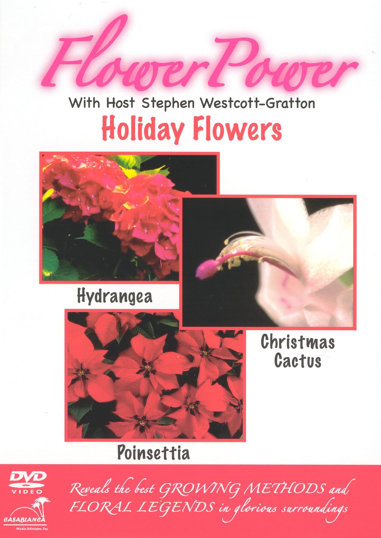 Flower Power: Holiday Flowers cover art