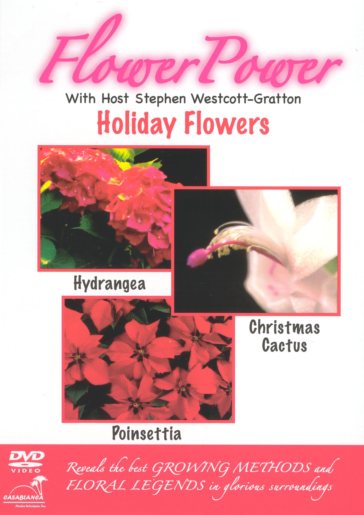 Flower Power: Holiday Flowers cover art