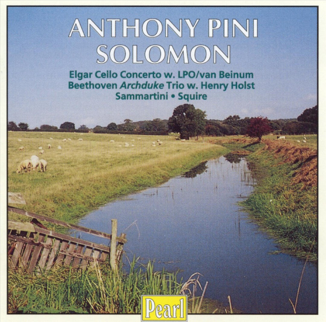 Pini/Solomon cover art