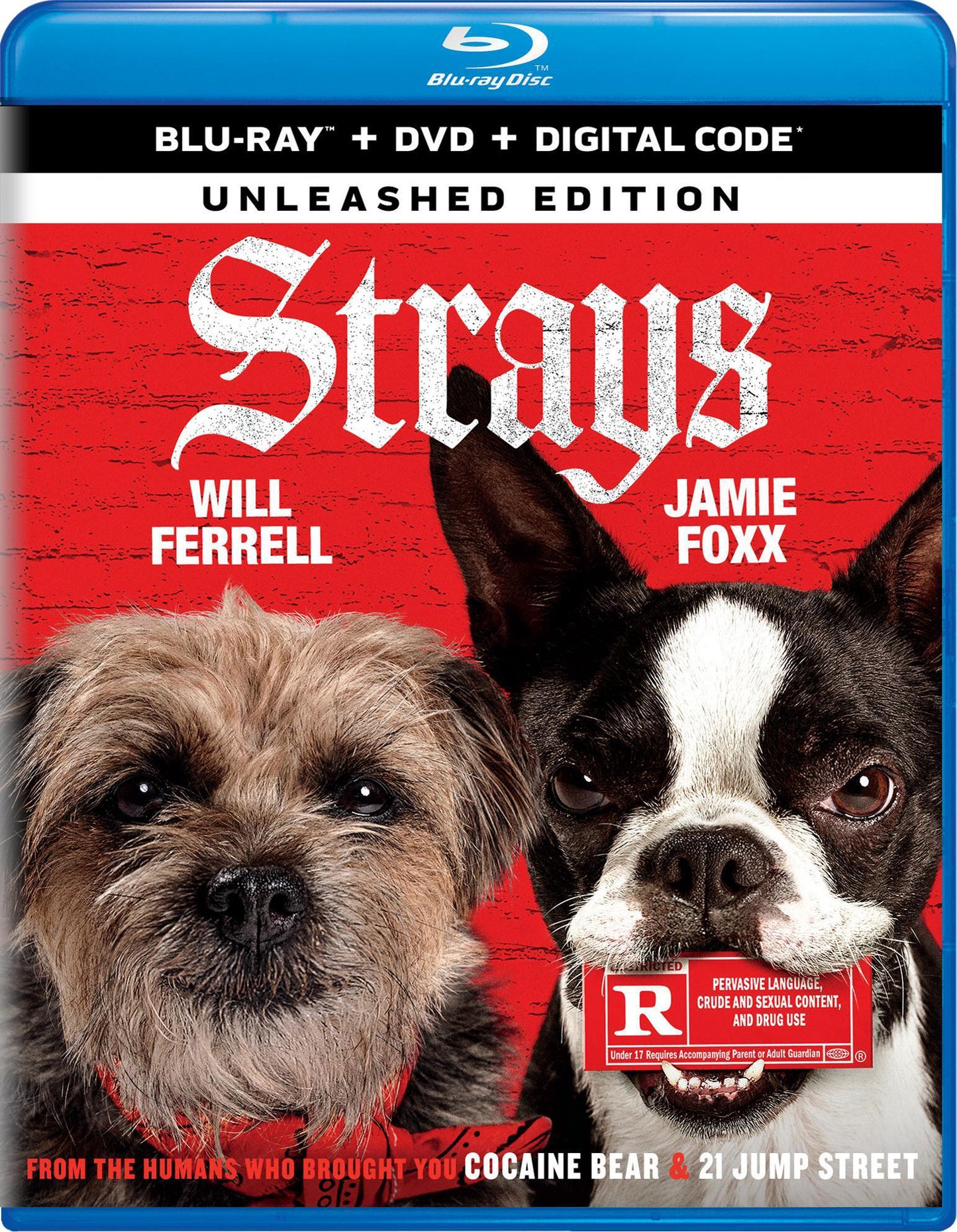 Strays [Includes Digital Copy] [Blu-ray/DVD] cover art