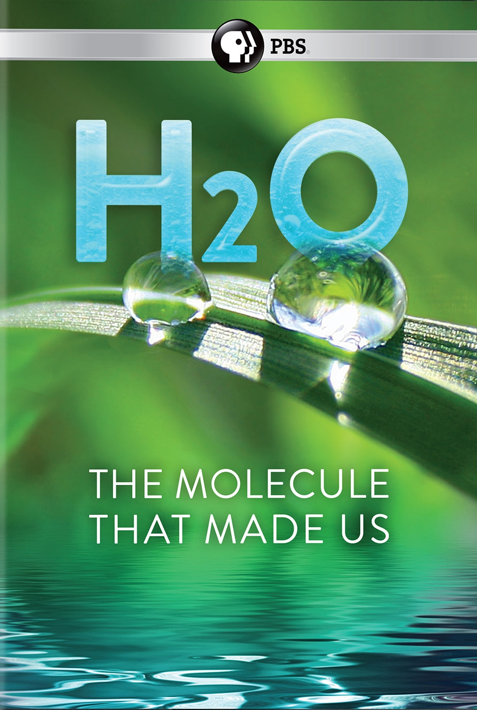 H2O: The Molecule That Made Us cover art