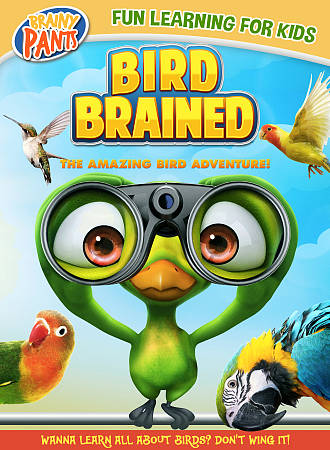 Bird Brained: The Amazing Bird Adventure! cover art