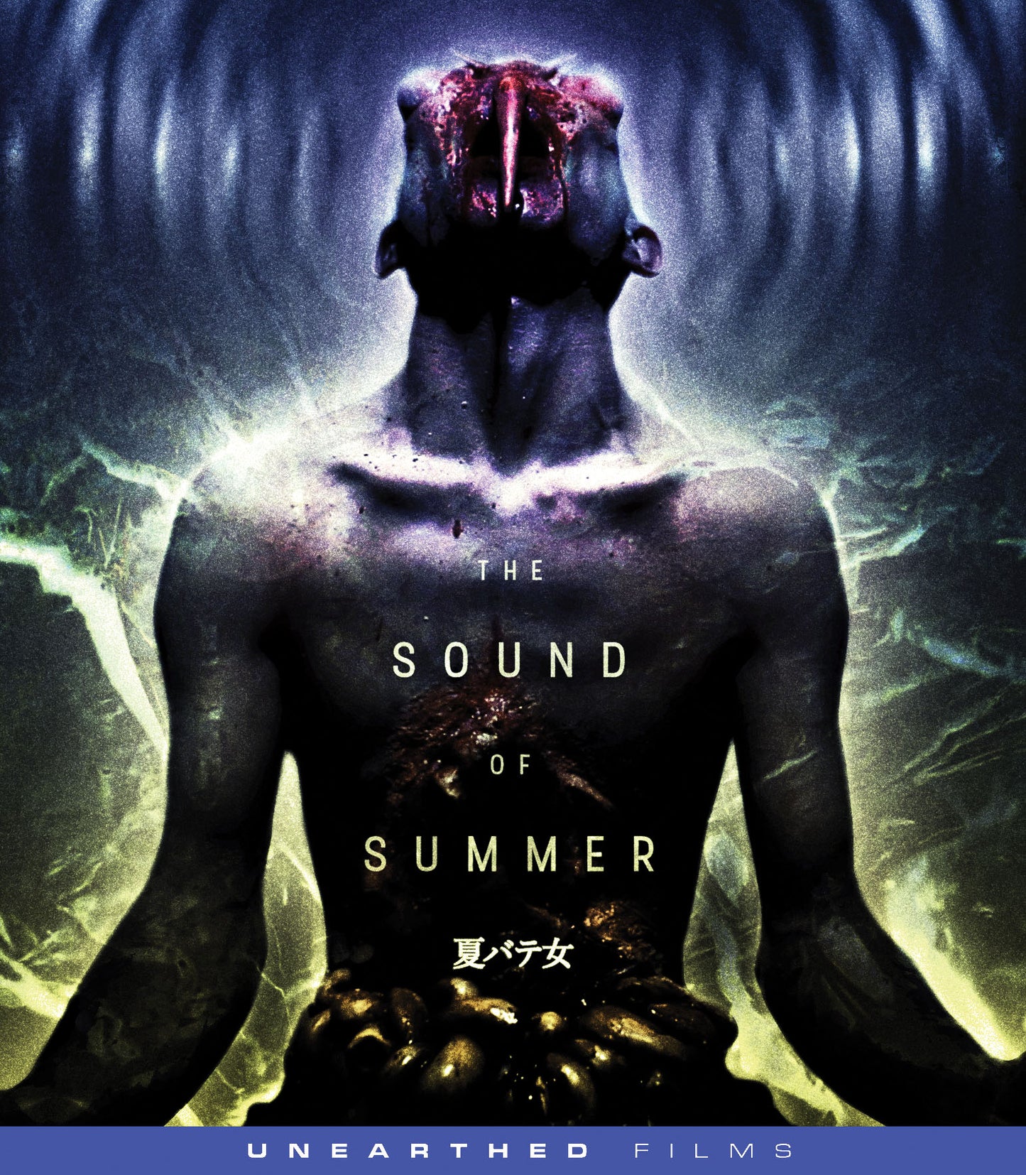 Sound of Summer [Blu-ray] cover art