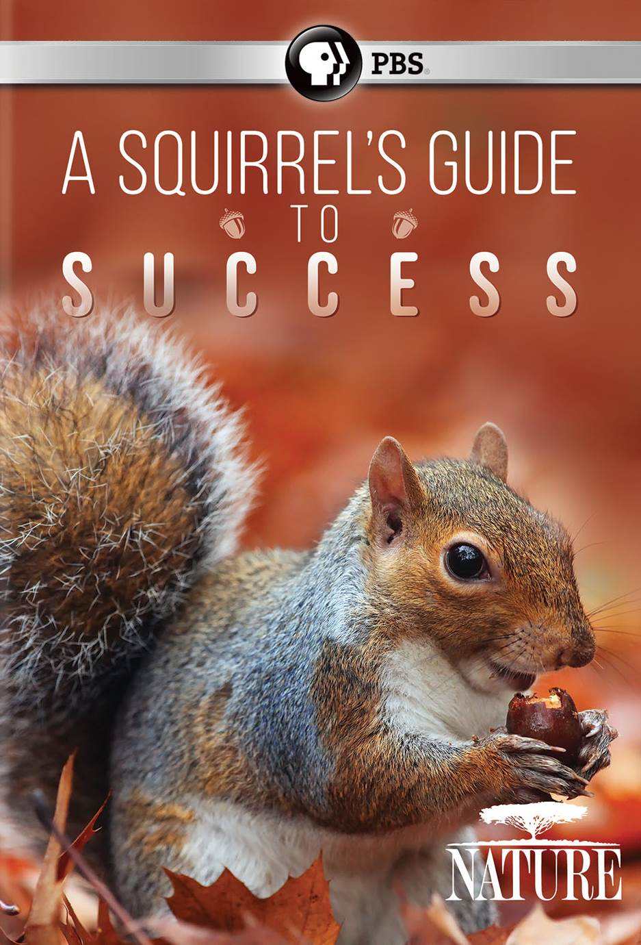 Nature: A Squirrel's Guide to Success cover art