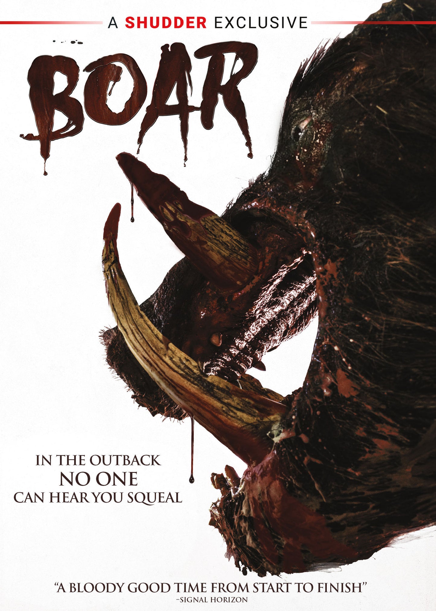 Boar cover art