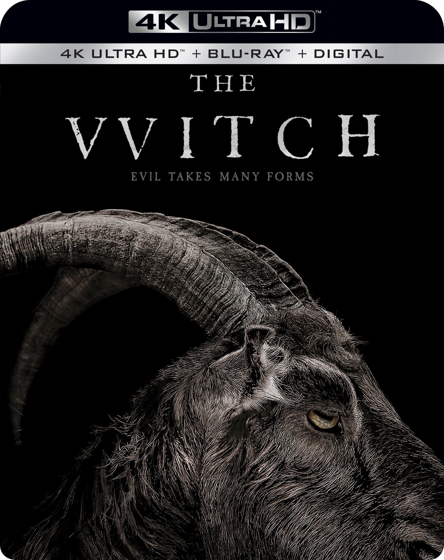 Witch [Includes Digital Copy] [4K Ultra HD Blu-ray/Blu-ray] cover art