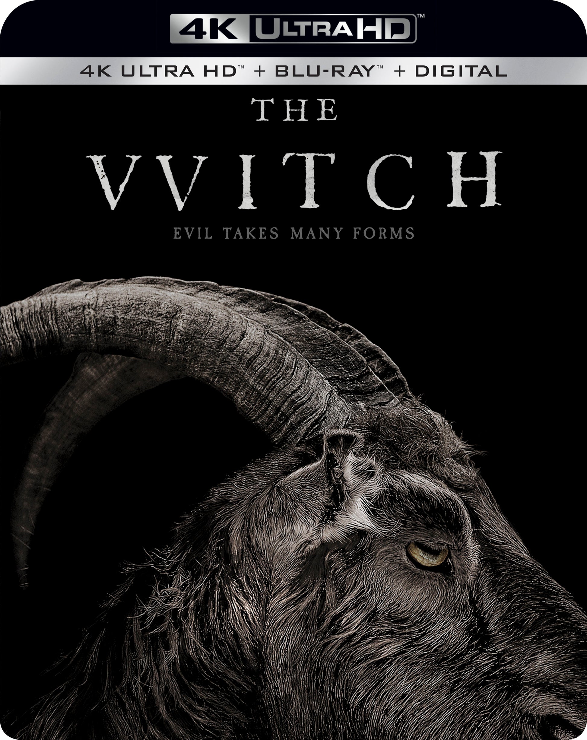Witch [Includes Digital Copy] [4K Ultra HD Blu-ray/Blu-ray] cover art