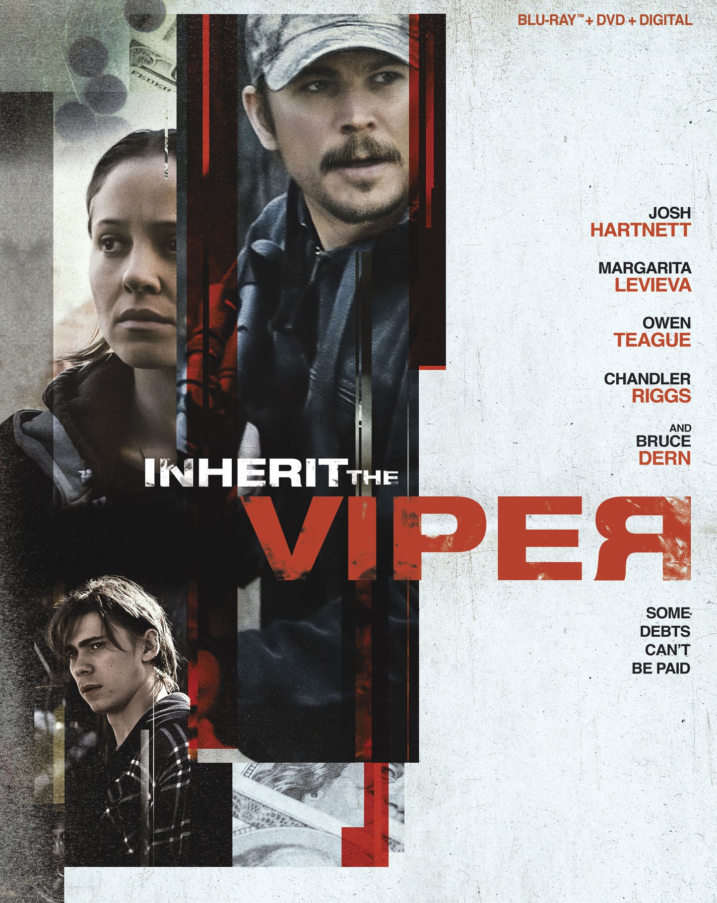 Inherit the Viper [Includes Digital Copy] [Blu-ray/DVD] cover art