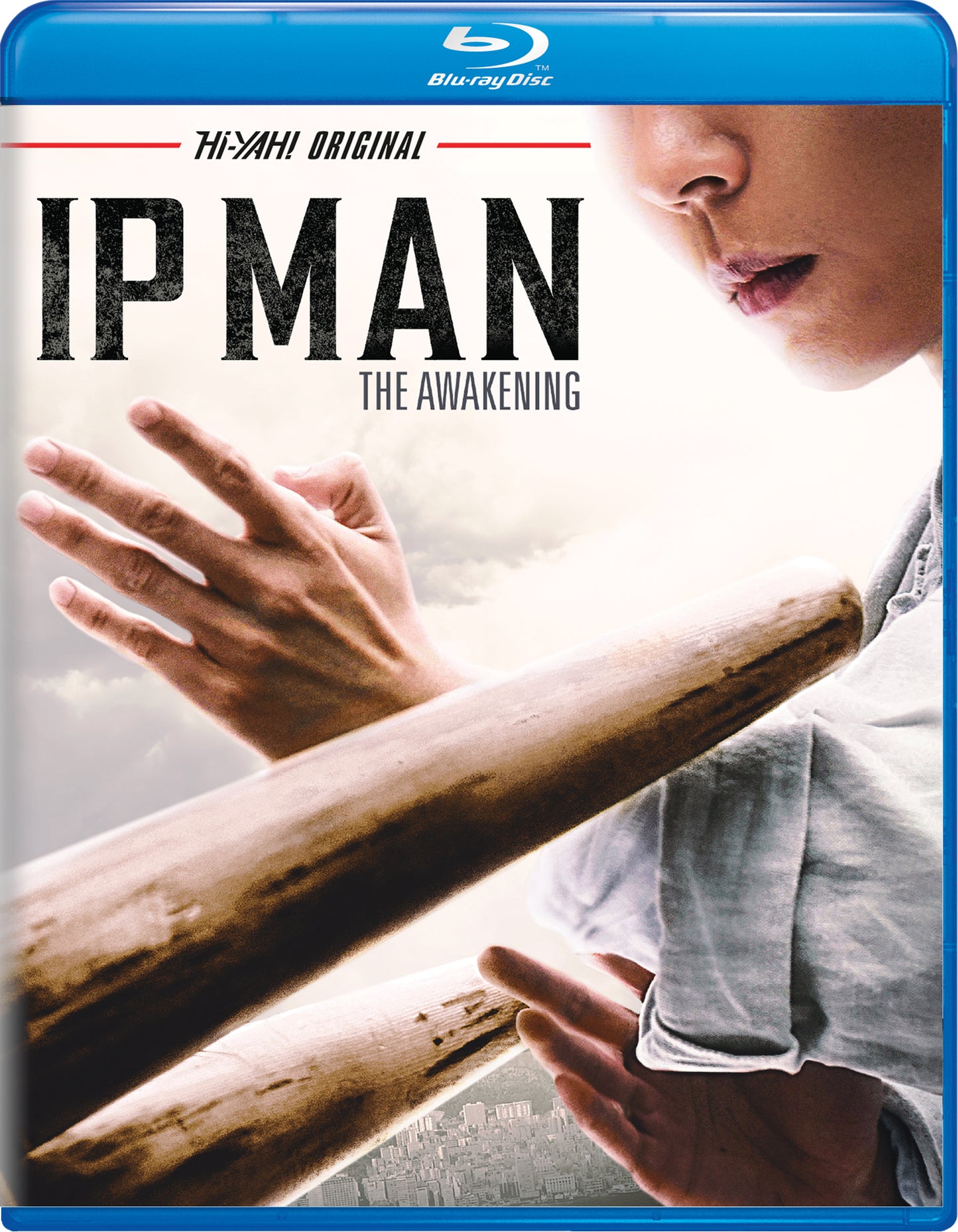 Ip Man: The Awakening [Blu-ray] cover art