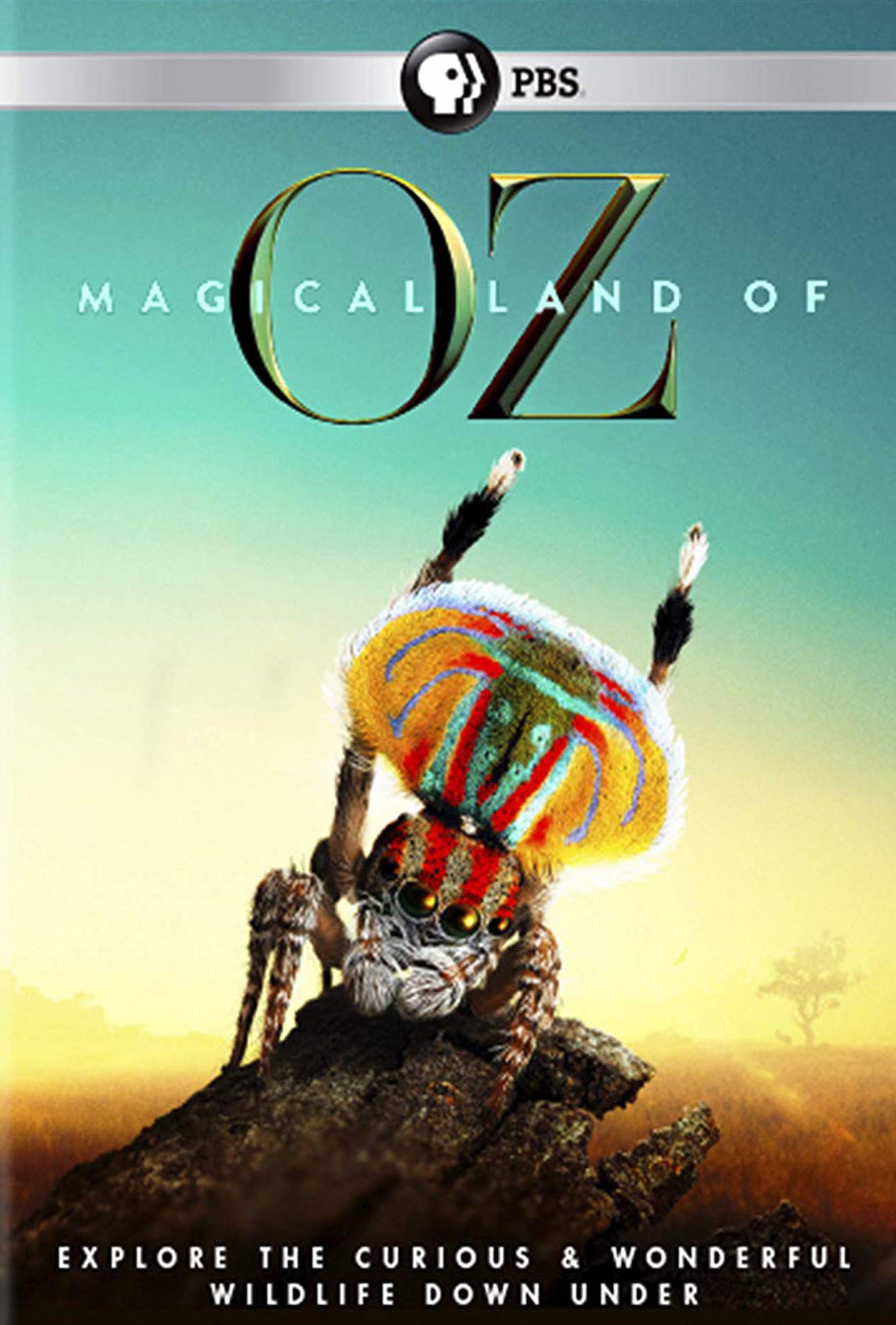 Magical Land of Oz cover art