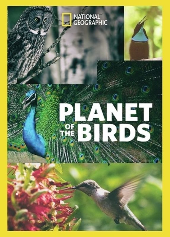 National Geographic: Planet of the Birds cover art
