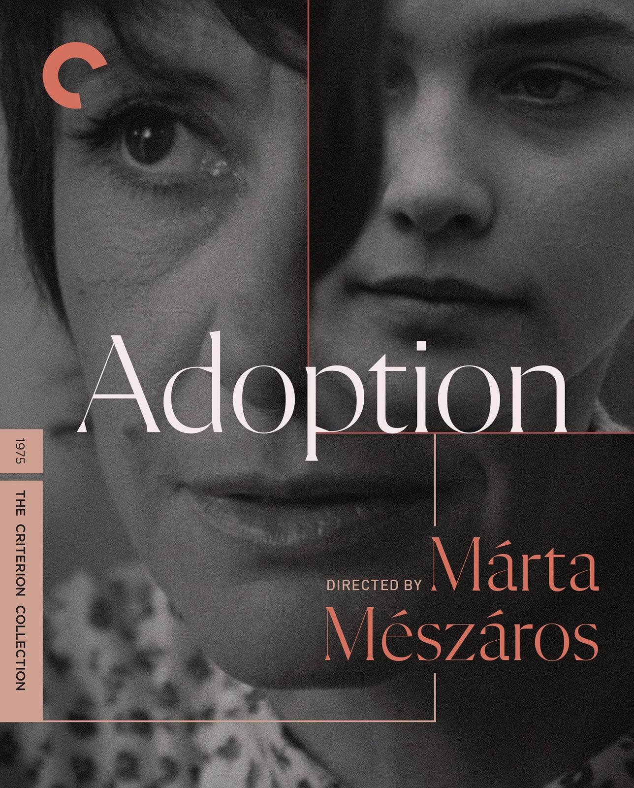 Adoption [Criterion Collection] [Blu-ray] cover art