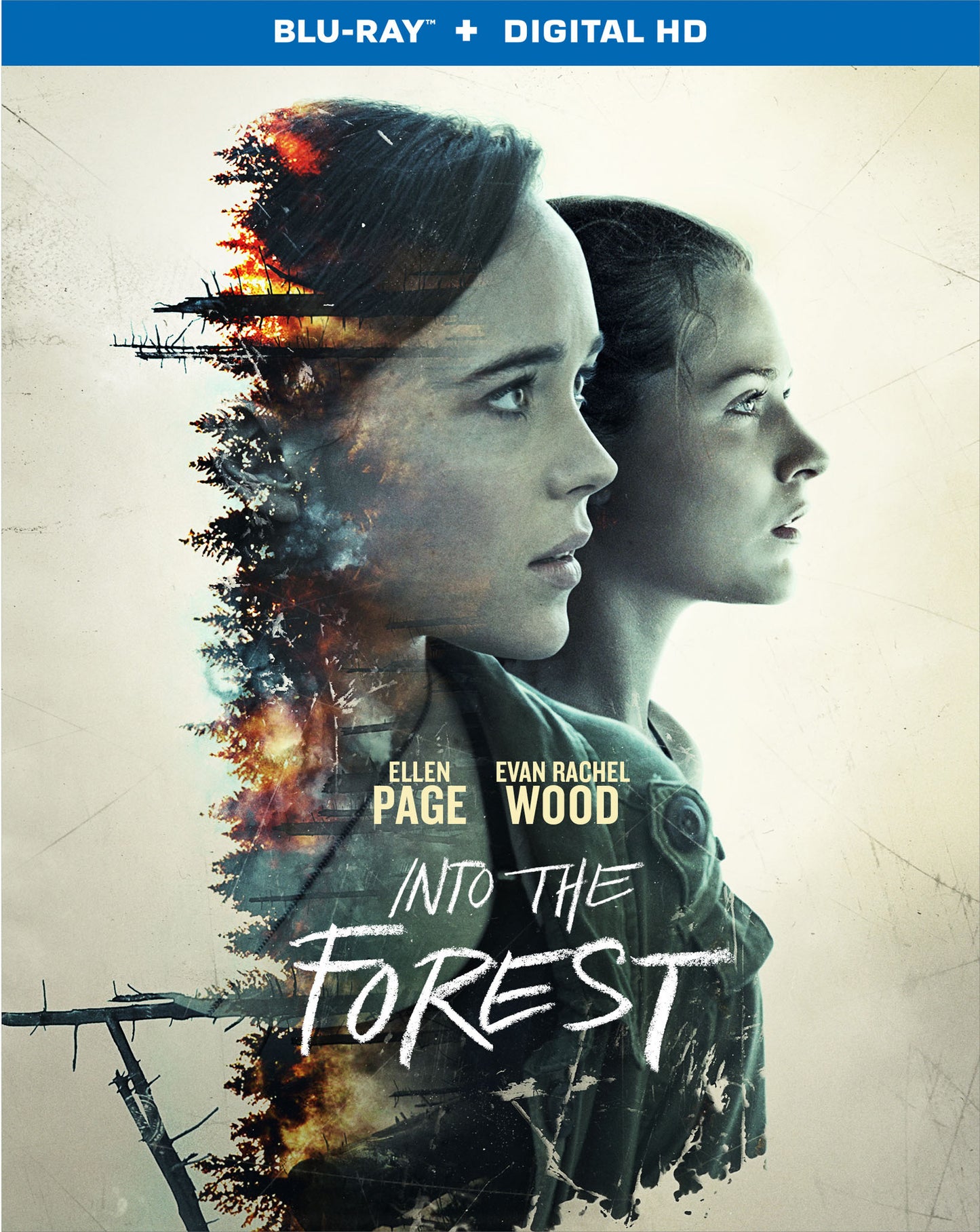 Into the Forest [Blu-ray] cover art