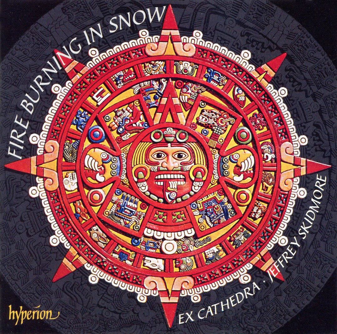 Fire Burning in Snow cover art