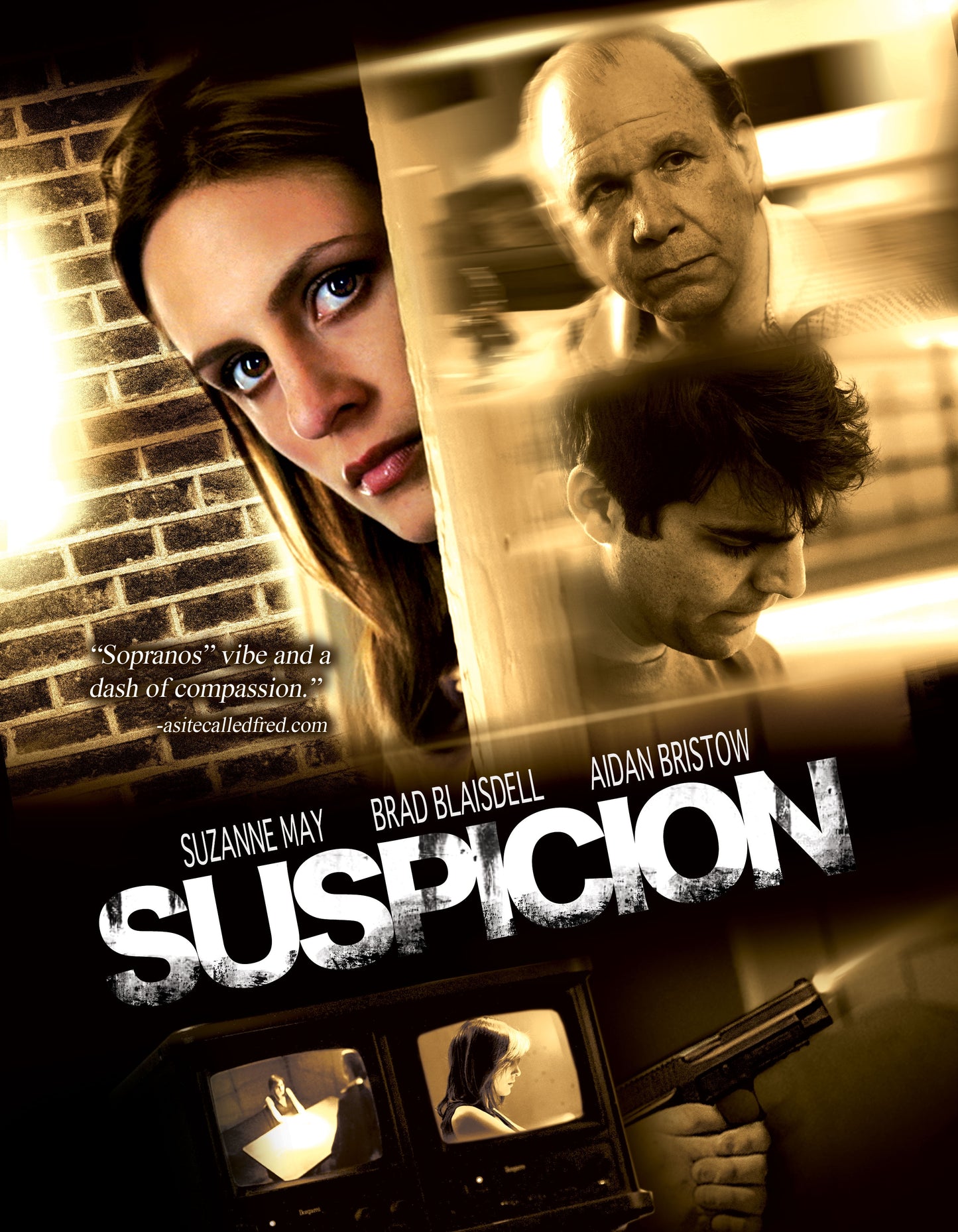 Suspicion cover art