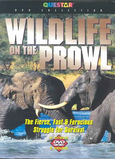 Wildlife on the Prowl - 6 Pack cover art