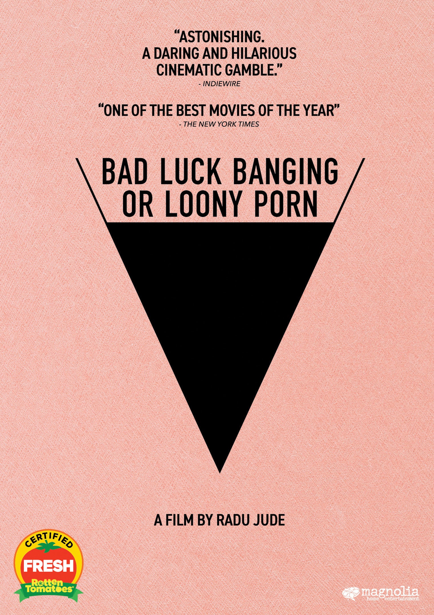 Bad Luck Banging or Loony Porn cover art