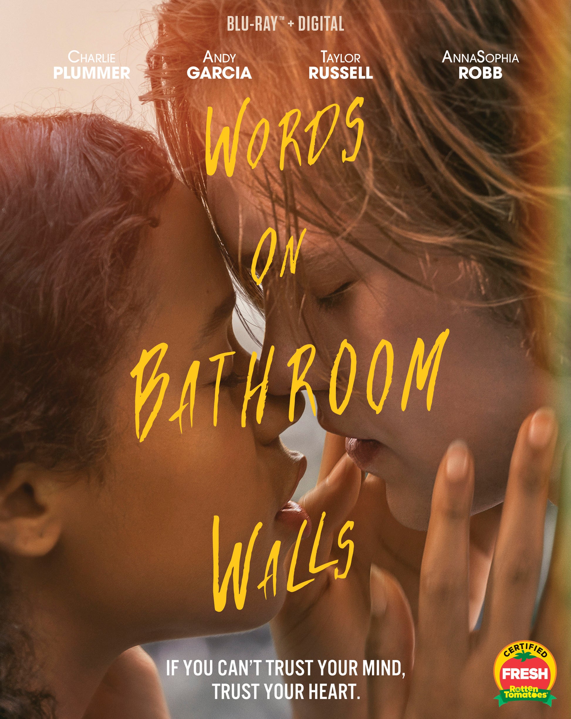 Words on Bathroom Walls [Includes Digital Copy] [Blu-ray] cover art