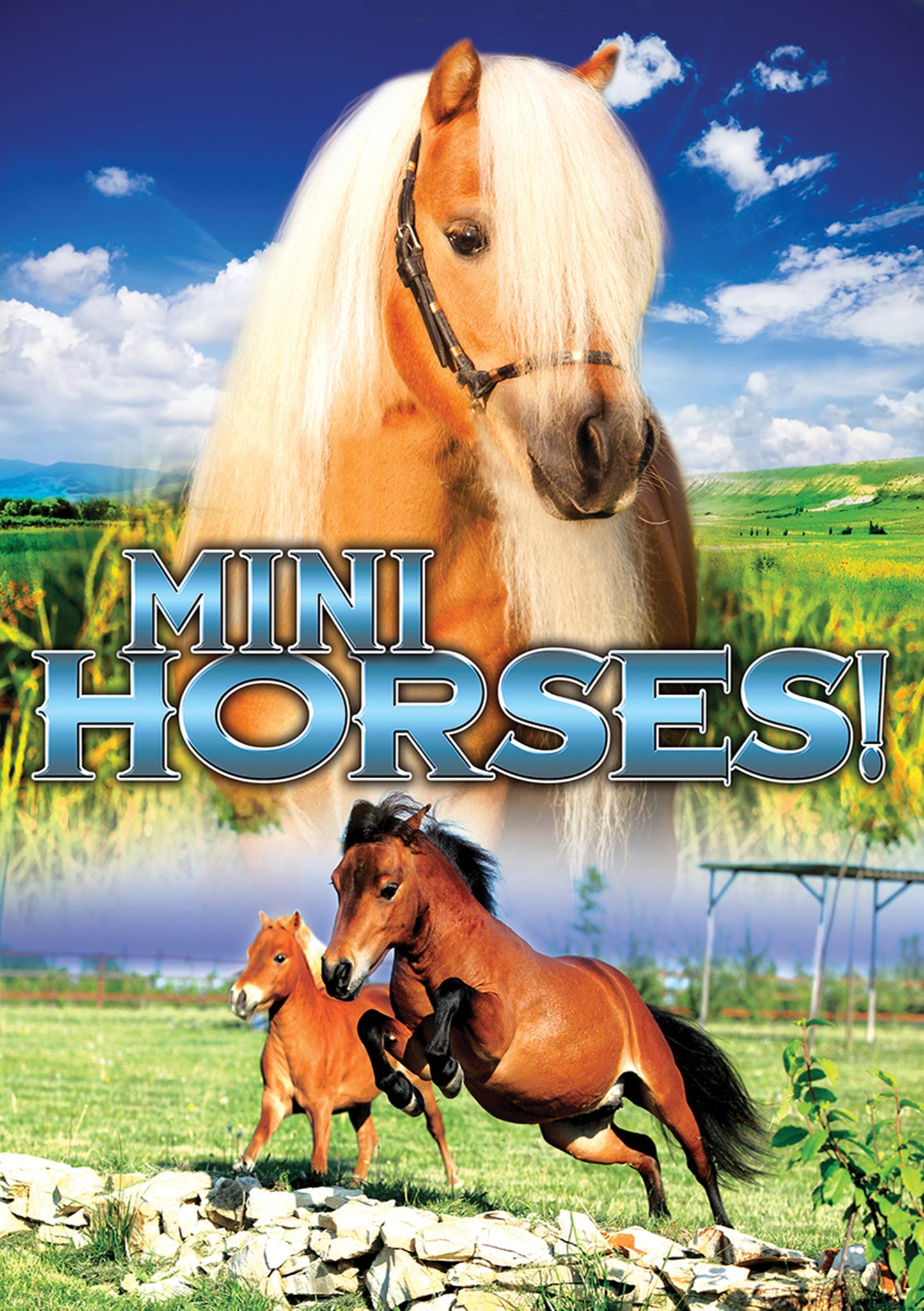 Mini Horses! cover art