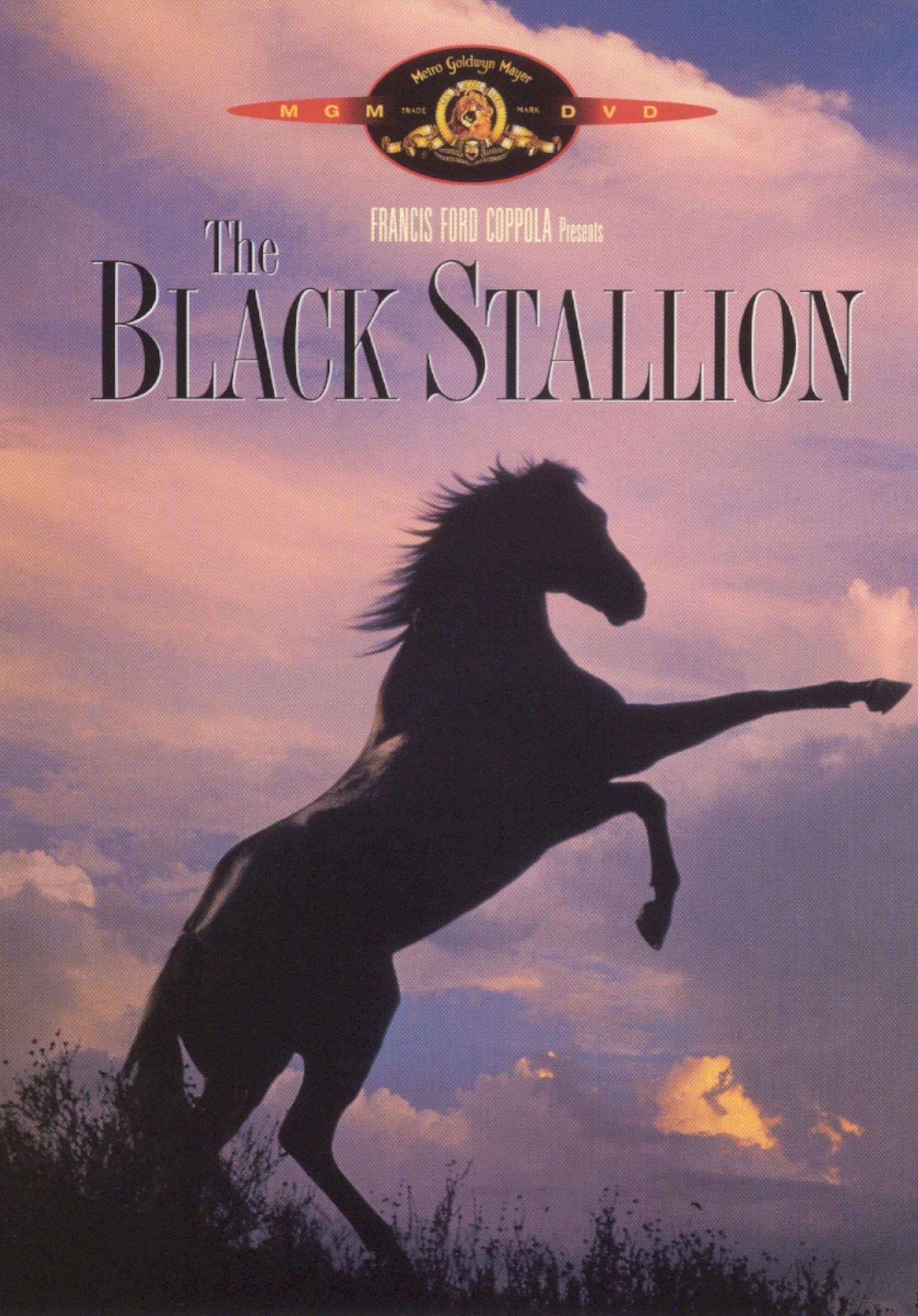 Black Stallion cover art