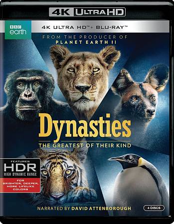 Dynasties cover art