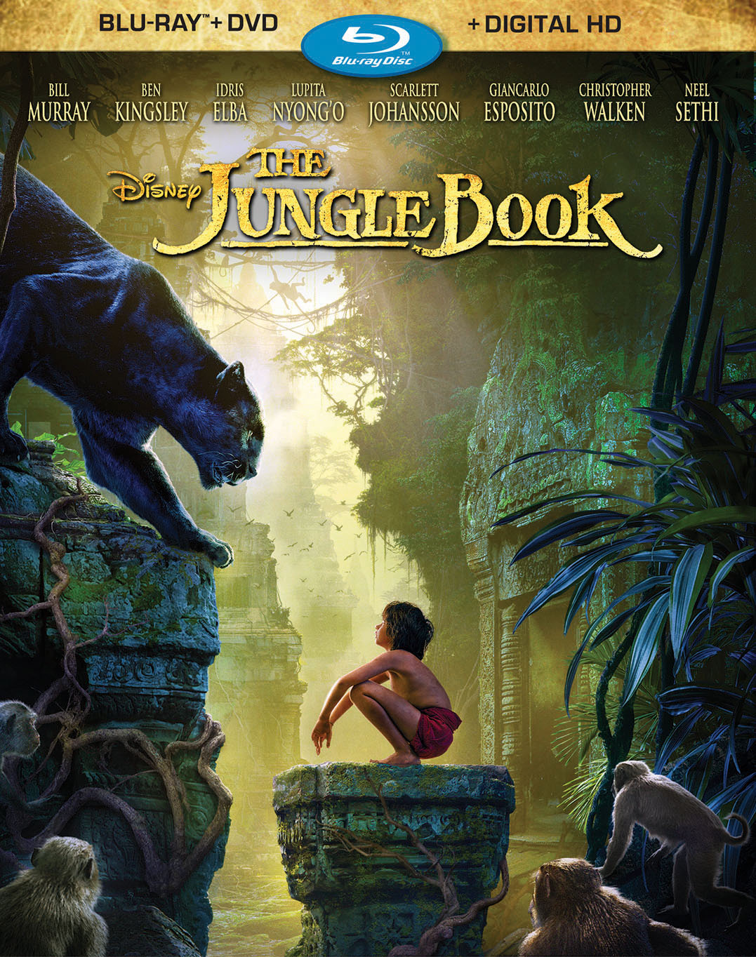 Jungle Book [Includes Digital Copy] [Blu-ray/DVD] cover art