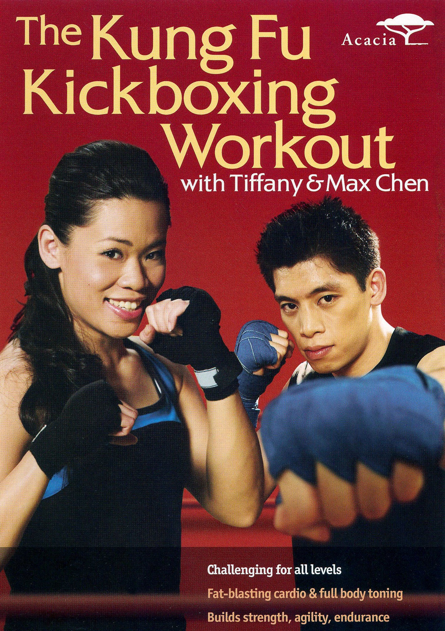 Tiffany and Max Chen: Kung Fu Kickboxing Workout cover art