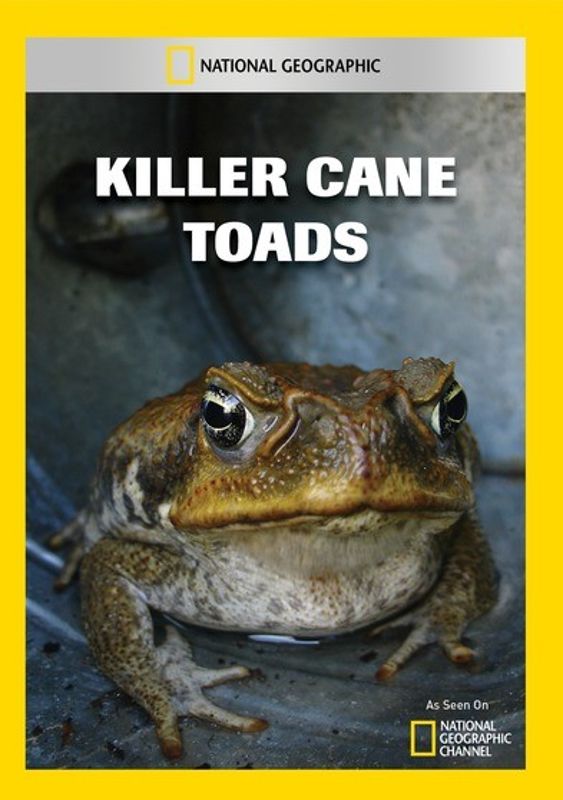 Killer Cane Toads cover art