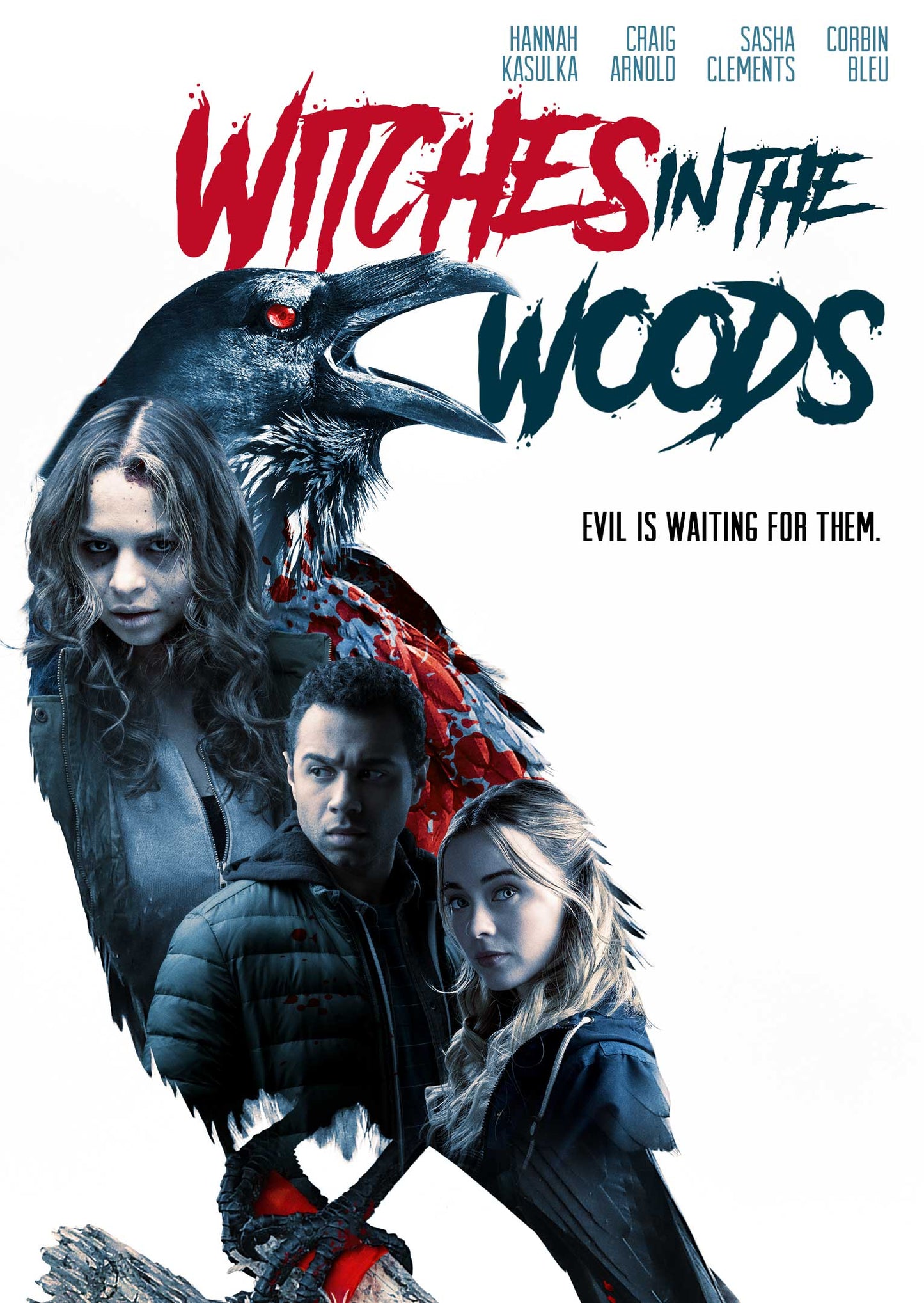 Witches in the Woods cover art
