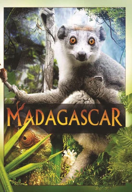 Madagascar cover art