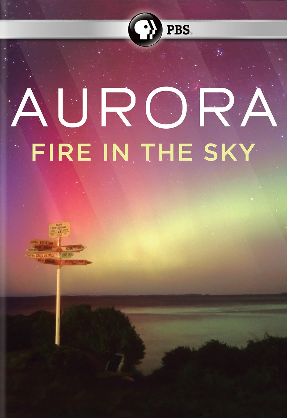 Aurora: Fire in the Sky cover art