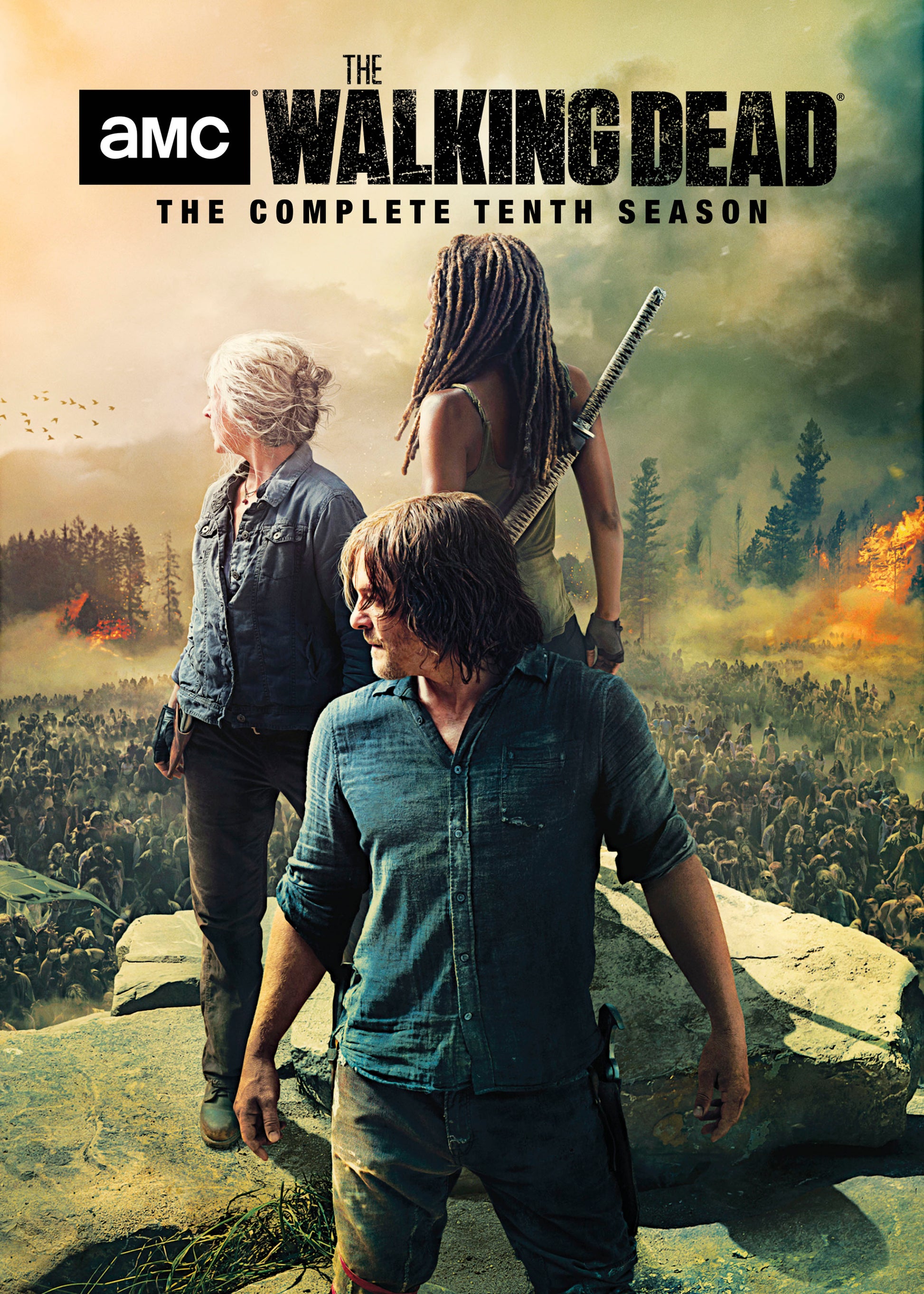 Walking Dead: Season 10 cover art