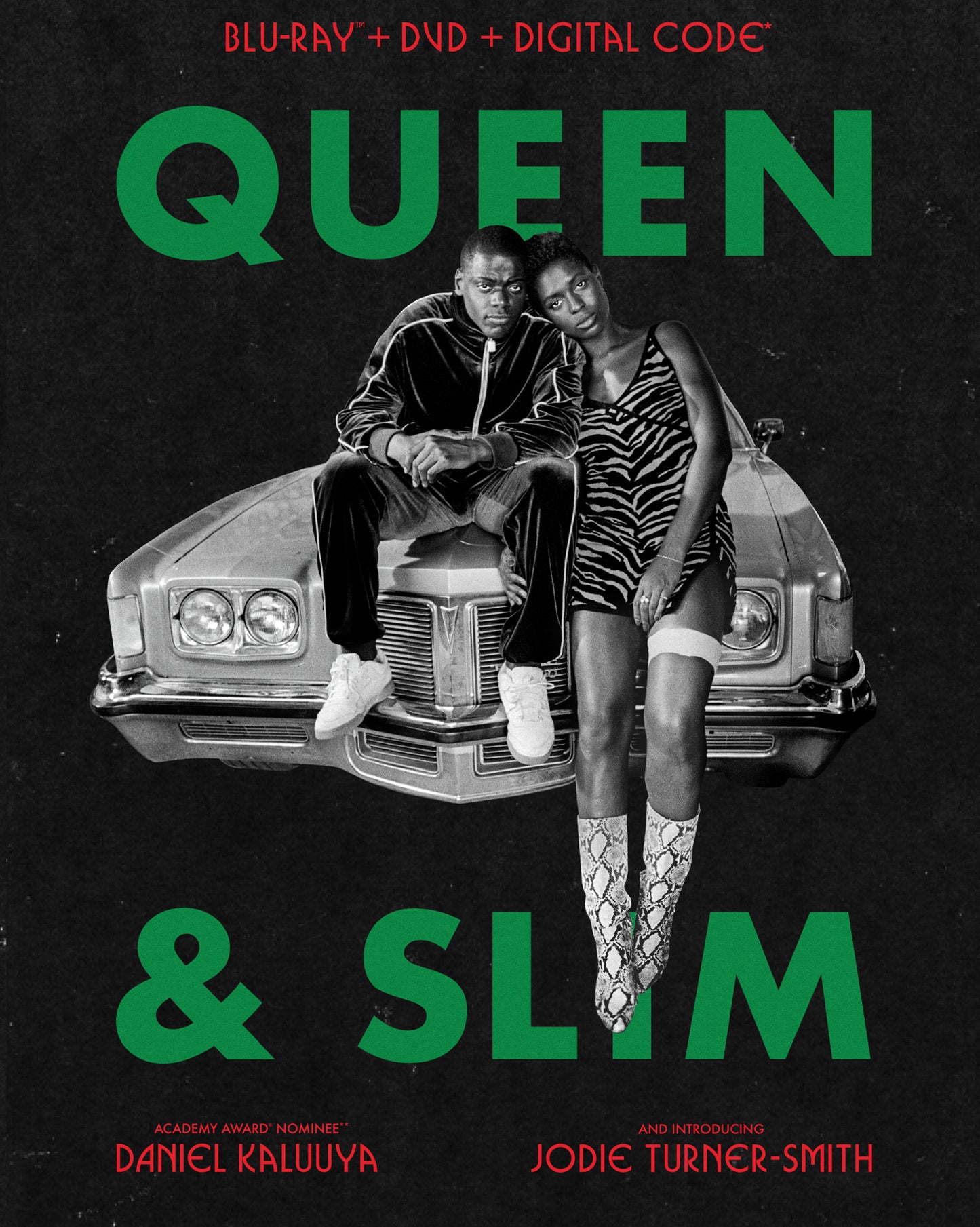 Queen & Slim [Includes Digital Copy] [Blu-ray/DVD] cover art