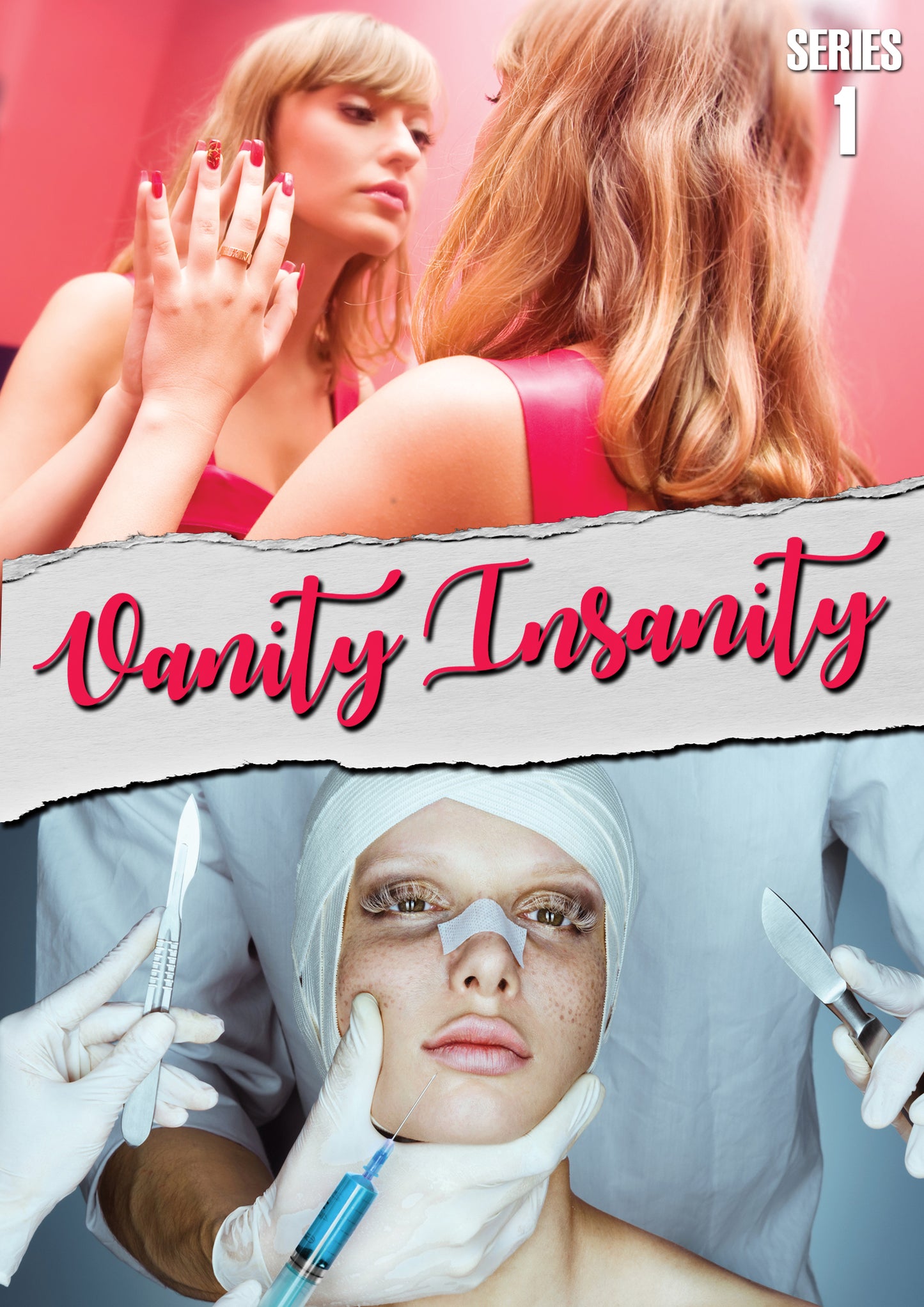 Vanity Insanity: Series 1 cover art
