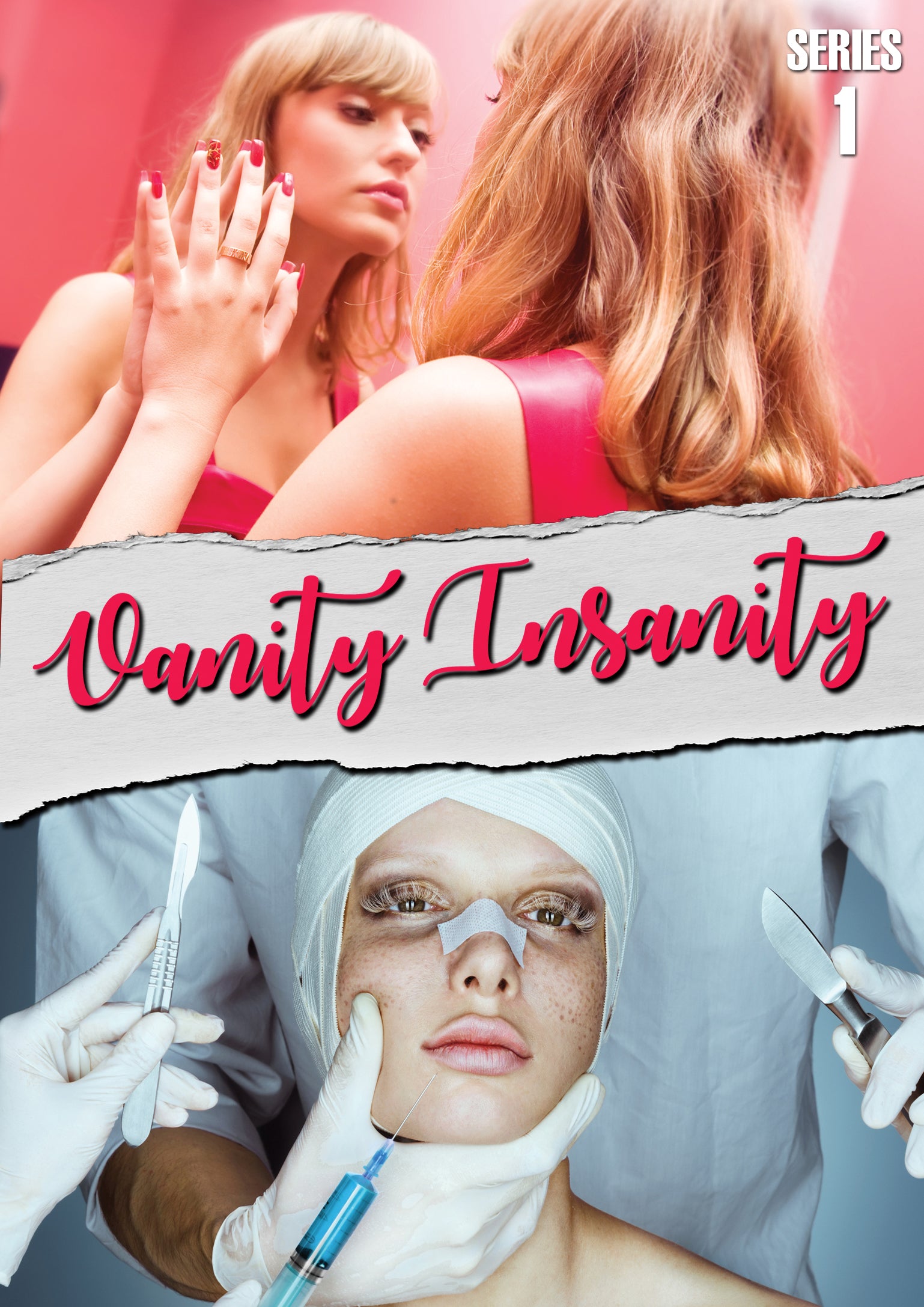 Vanity Insanity: Series 1 cover art