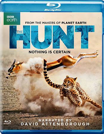 Hunt [Blu-ray] cover art