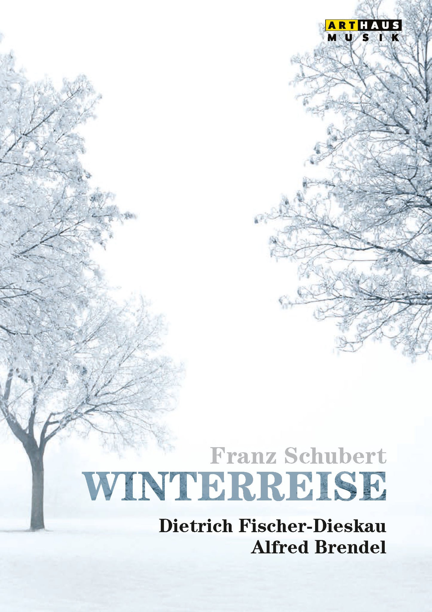 Franz Schubert: Winterreise [Video] cover art