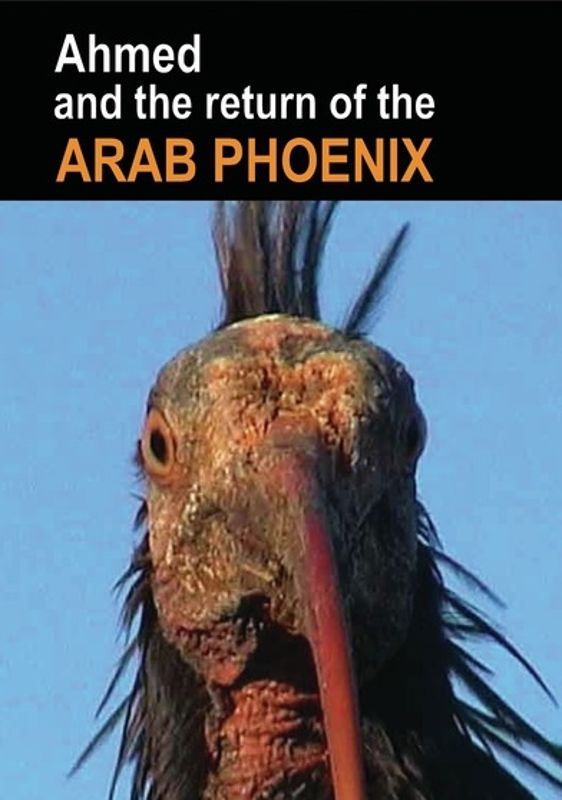 Ahmed and the Return of the Arab Phoenix cover art