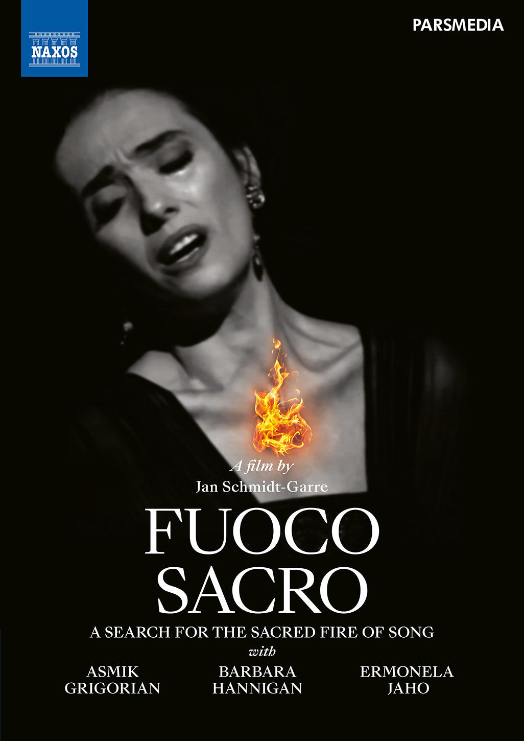 Fuoco Sacro / Various - Fuoco Sacro / Various cover art